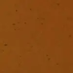 Raw Umber