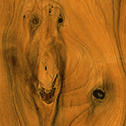 Antique Yew