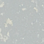 Frost Pearl